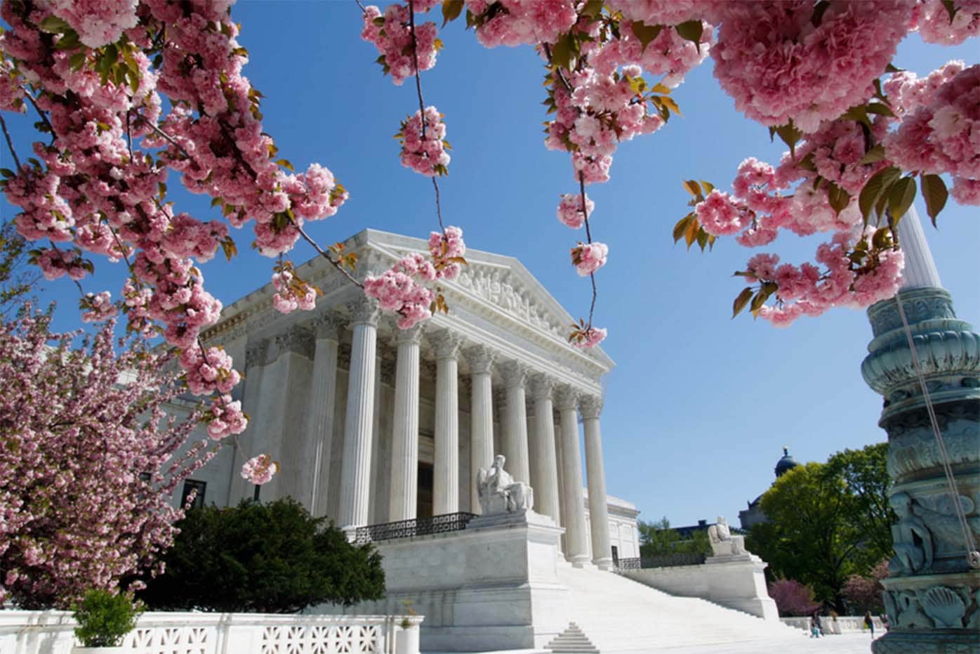 Supreme Court blossoms