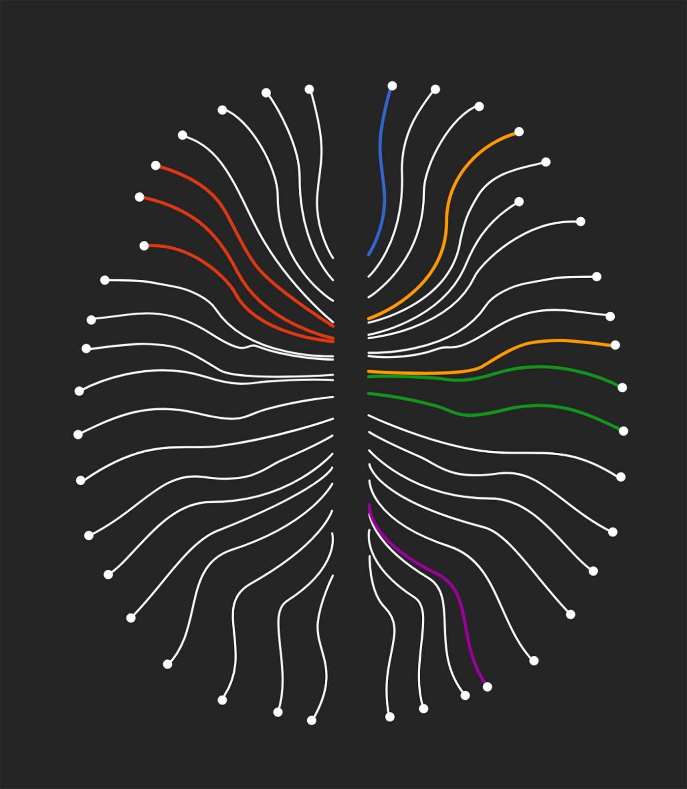 brain wires