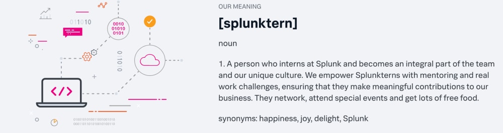 What is a Splunktern?
