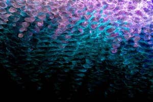 Cryptographically Relevant Quantum Computers (CRQCs) & The Quantum Threat