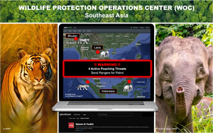 The Art of the Possible: Saving Tigers and Elephants with AI