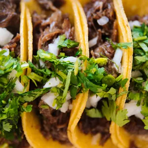 This Feels Scripted: Zeek Scripting and Splunk