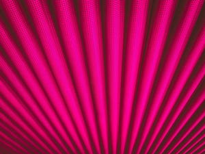 Splunk Coalesce Command