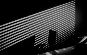 Shadow IT & How To Manage It Today