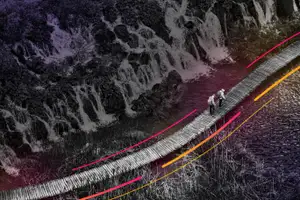 Lagebericht Observability 2024: So setzten sich Leader im Wettbewerb durch