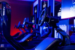 Shining a Light on McLaren Shadow