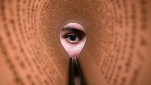 Steganography: Hidden in plain sight