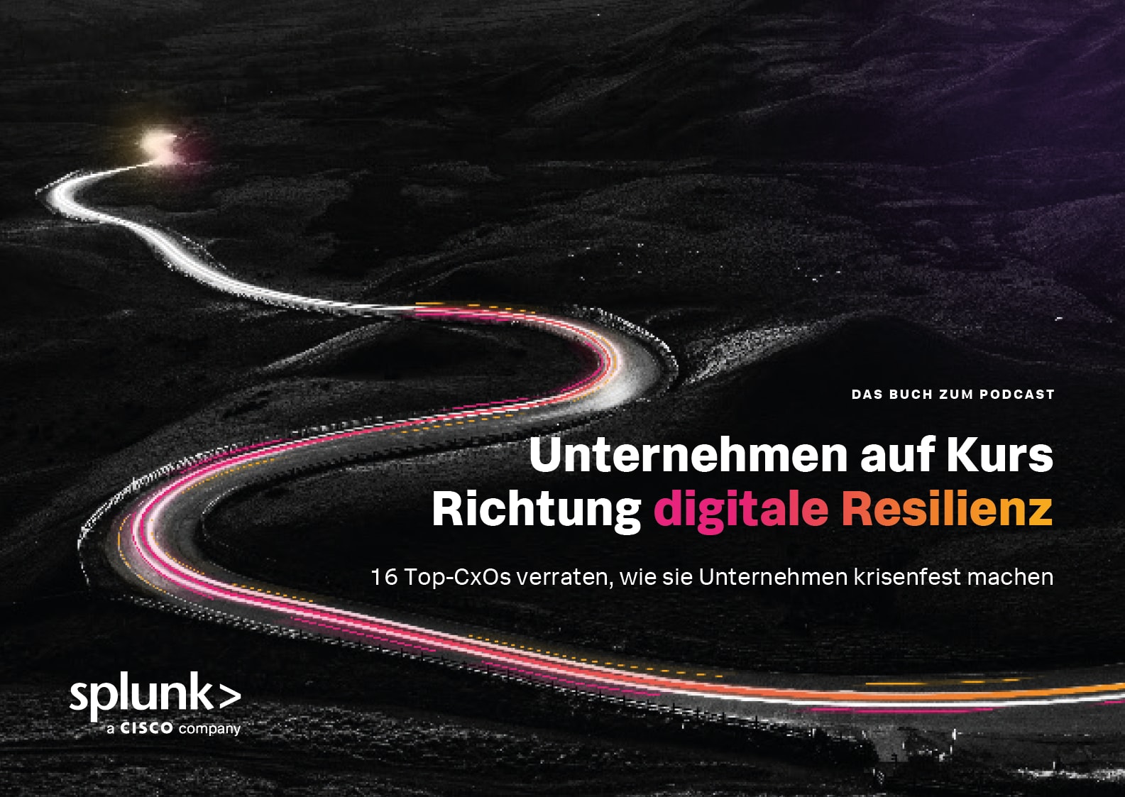 Unternehmen auf Kurs Richtung digitale Resilienz: E-Book-Cover
