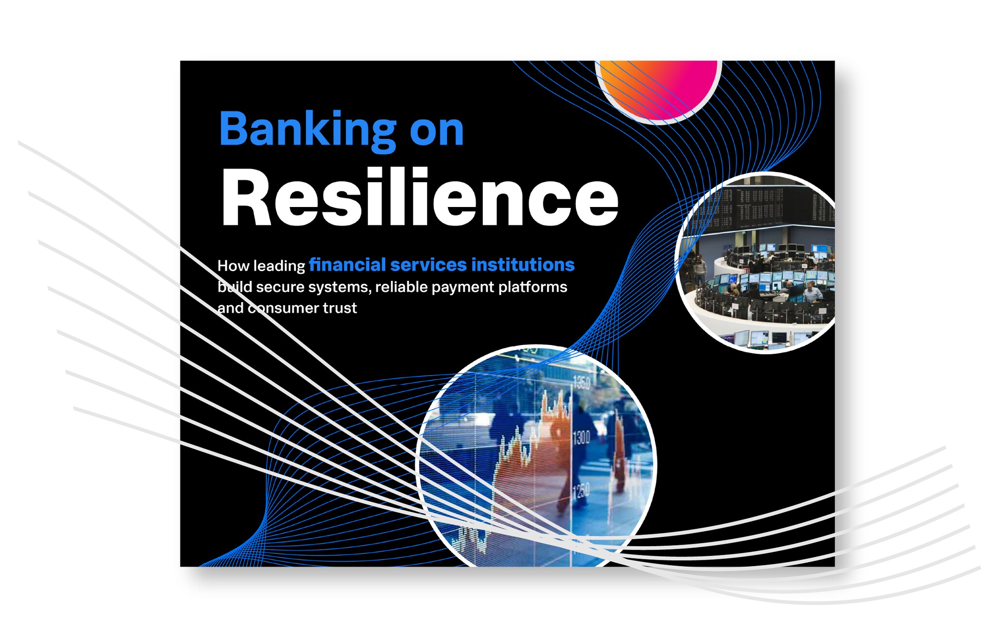 resilience-customer-book-fsi