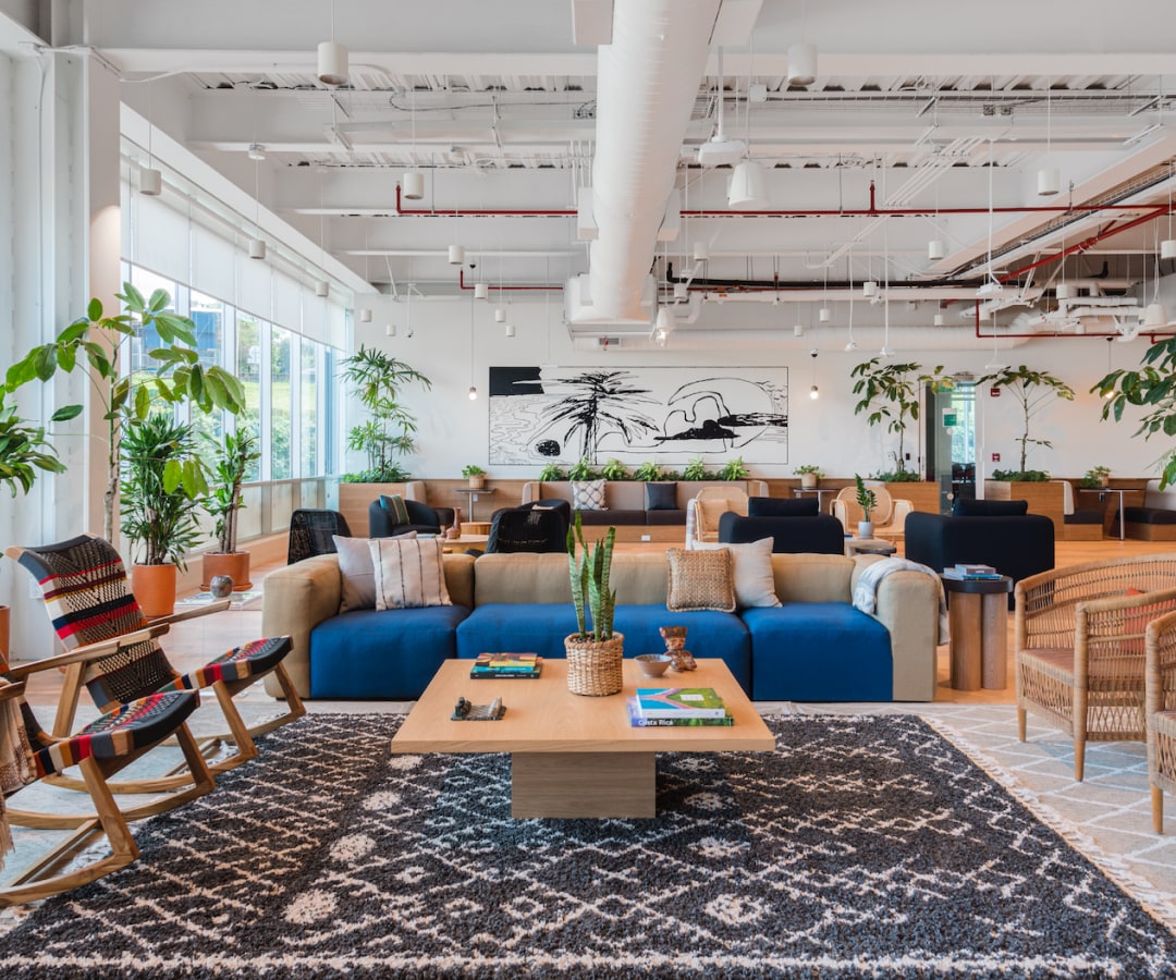 A welcoming office space with couches, rocking chairs, plants, a table and a cozy rug.