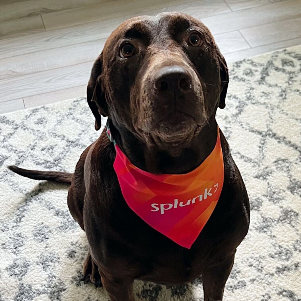 Splunk Life 1