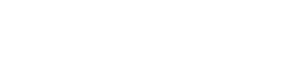 fortune 100 logo