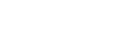 lcwins logo