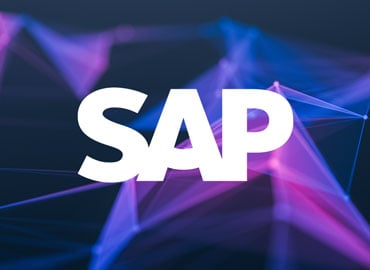 sap partner