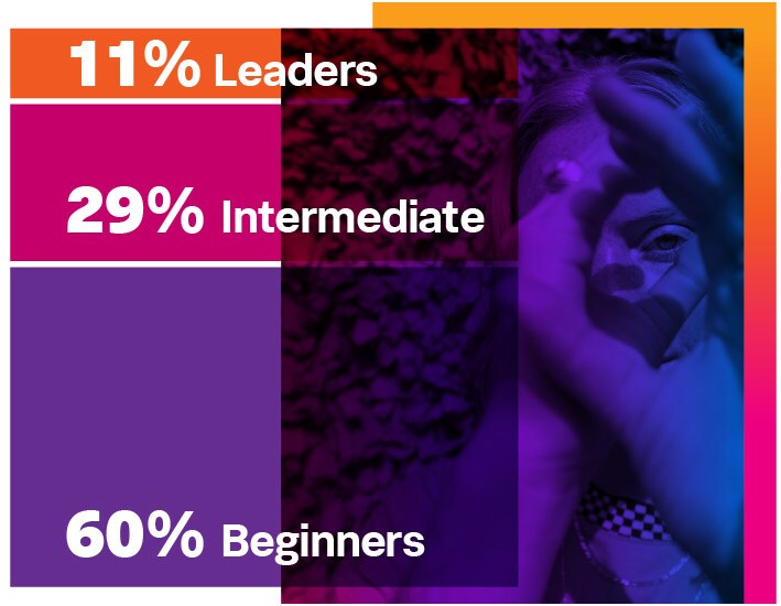 Leaders: 11% Intermediate: 29% Beginners: 60%