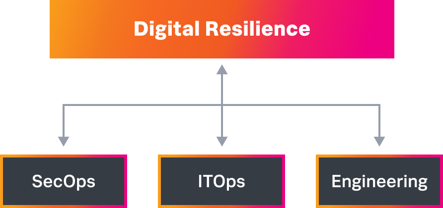 resilience-team-diagram