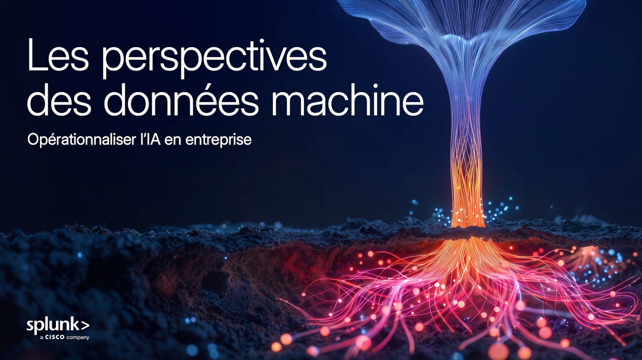 Les perspectives des données machine
