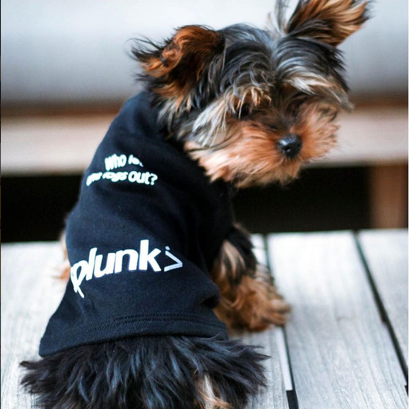 splunk-dog