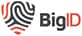 bigid-logo