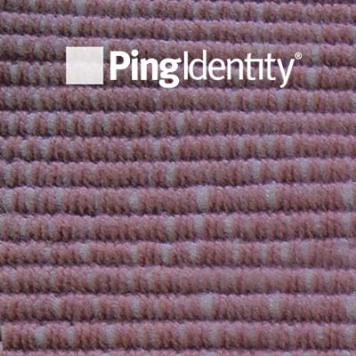 ping identity