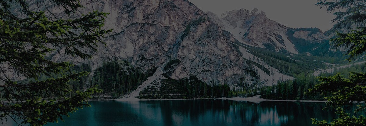 REI customer background