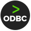 Article Image icône odbc