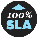 Article Image 100% 正常运行时间 sla 标志