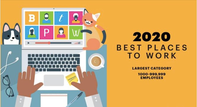 SFBT: Best Places To Work in the Bay Area 2020