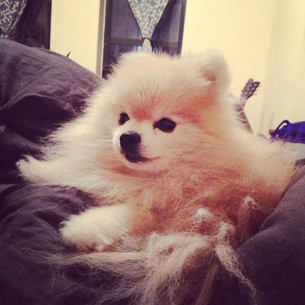 2nd NY Metro Splunk Users Group Meeting