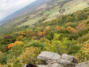 Helping Law Enforcement with Call Detail Records