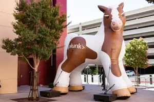 How Splunk Spent Its Summer