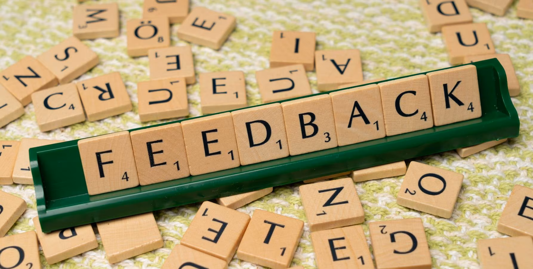 What Are Feedback Loops?