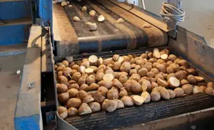 An Introduction to Batch Processing