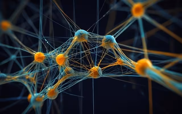 Open Neural Network Exchange (ONNX) Explained