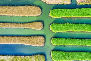 What is DevOps Automation?