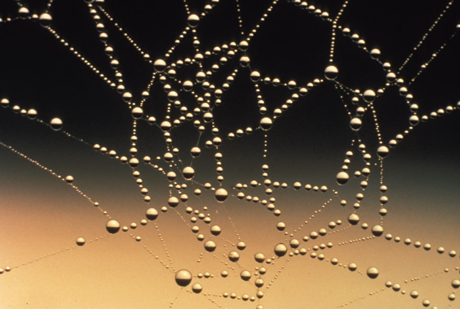 Federated Data Explained: Empowering Privacy, Innovation & Efficiency