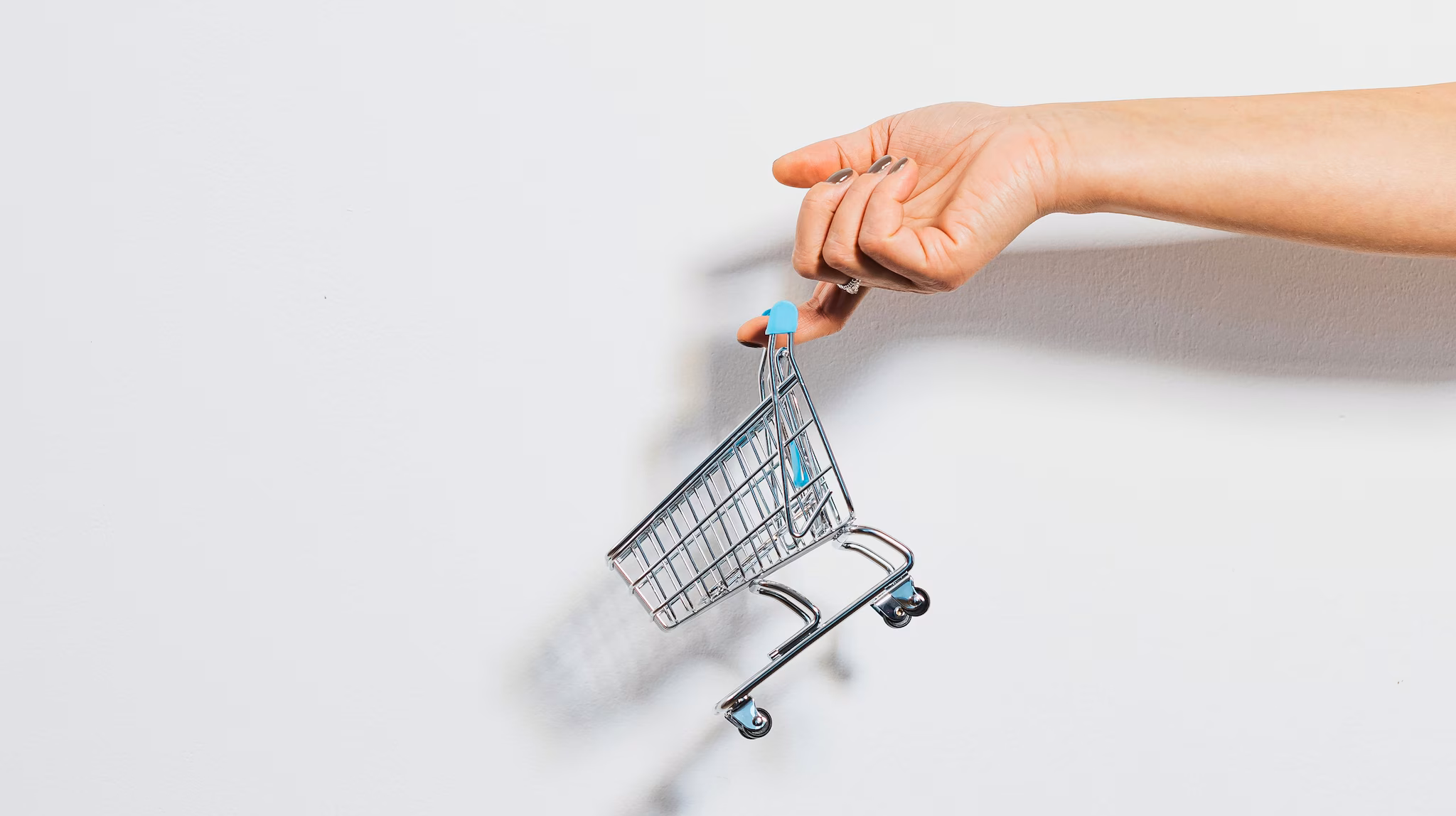 Vendor Management: The Complete Guide