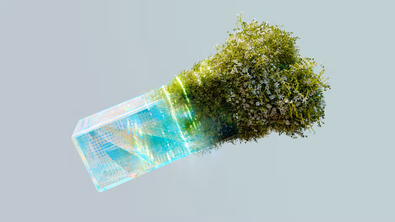 The Environmental Impact of AI