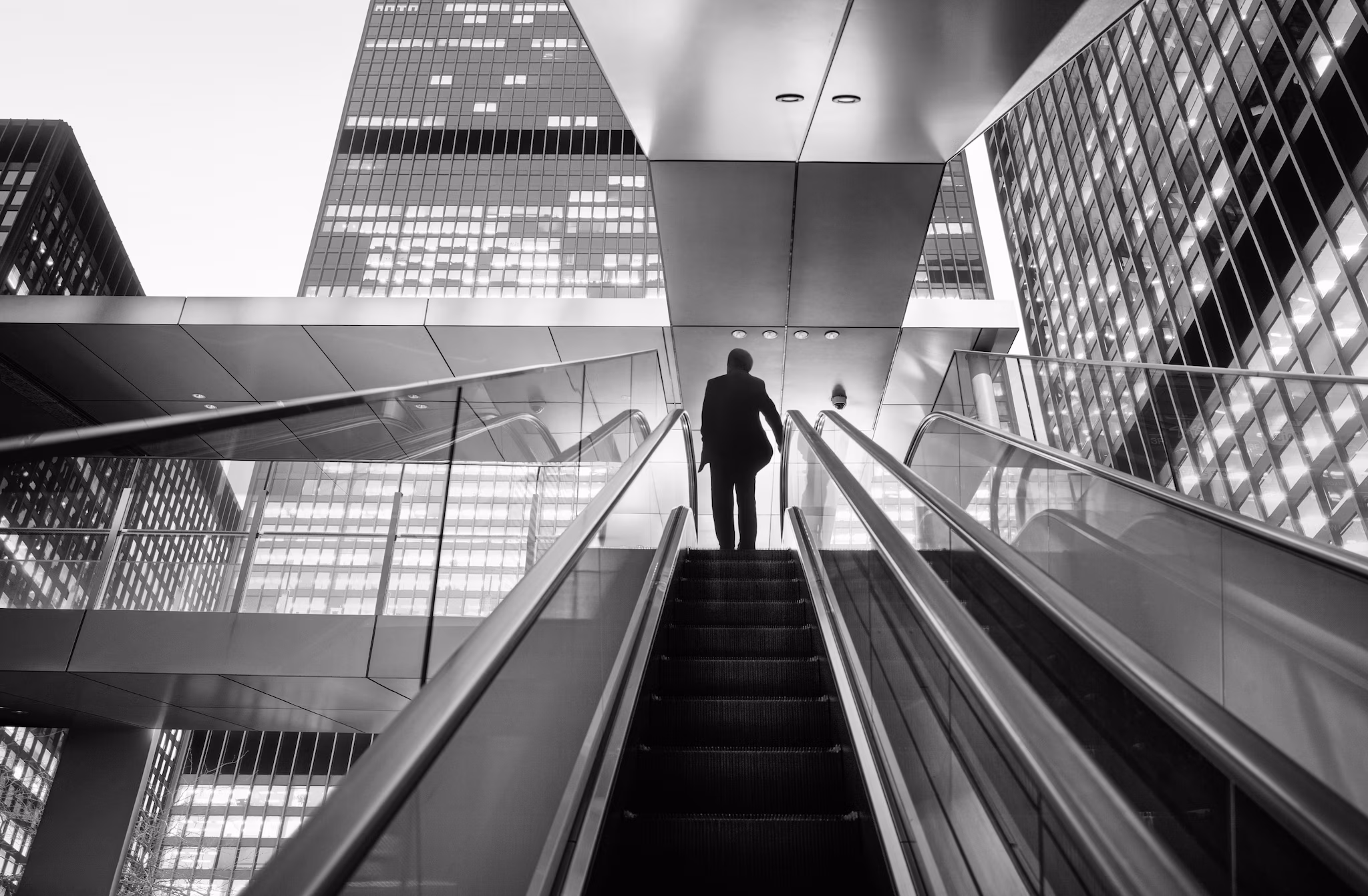 Predicting Cyber Fraud Through Real-World Events: Insights from Domain Registration Trends