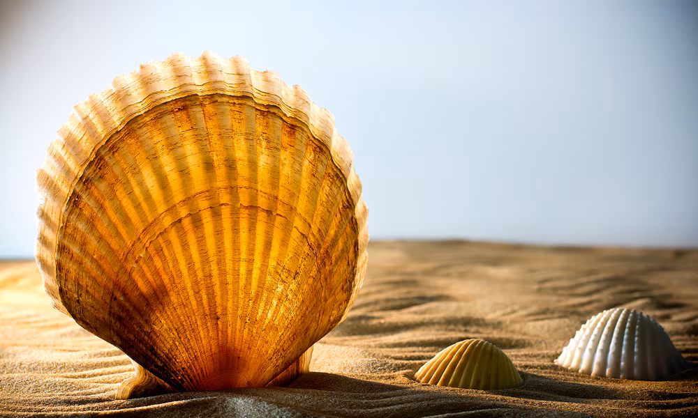 Atlassian Confluence Vulnerability CVE-2022-26134