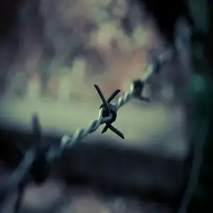 Detecting Clop Ransomware