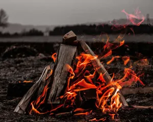 Logs Are for Campfires: Integrate and Innovate With Splunk Asset and Risk Intelligence