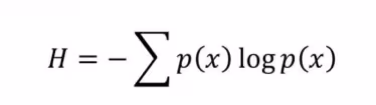 shannon_equation